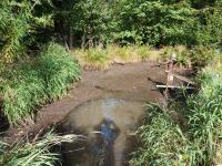 20250927_152019 (1024x768).jpg